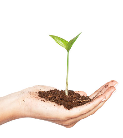 E-Mobility-News: Plant-my-tree CO2-Kompensierung Aufforstung mit Baumpflanz-Zertifikat für Elektrofahrzeuge von epowertec.de.